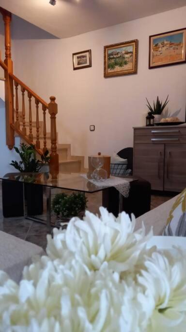 Casa Joana Villa Canyelles  Ngoại thất bức ảnh